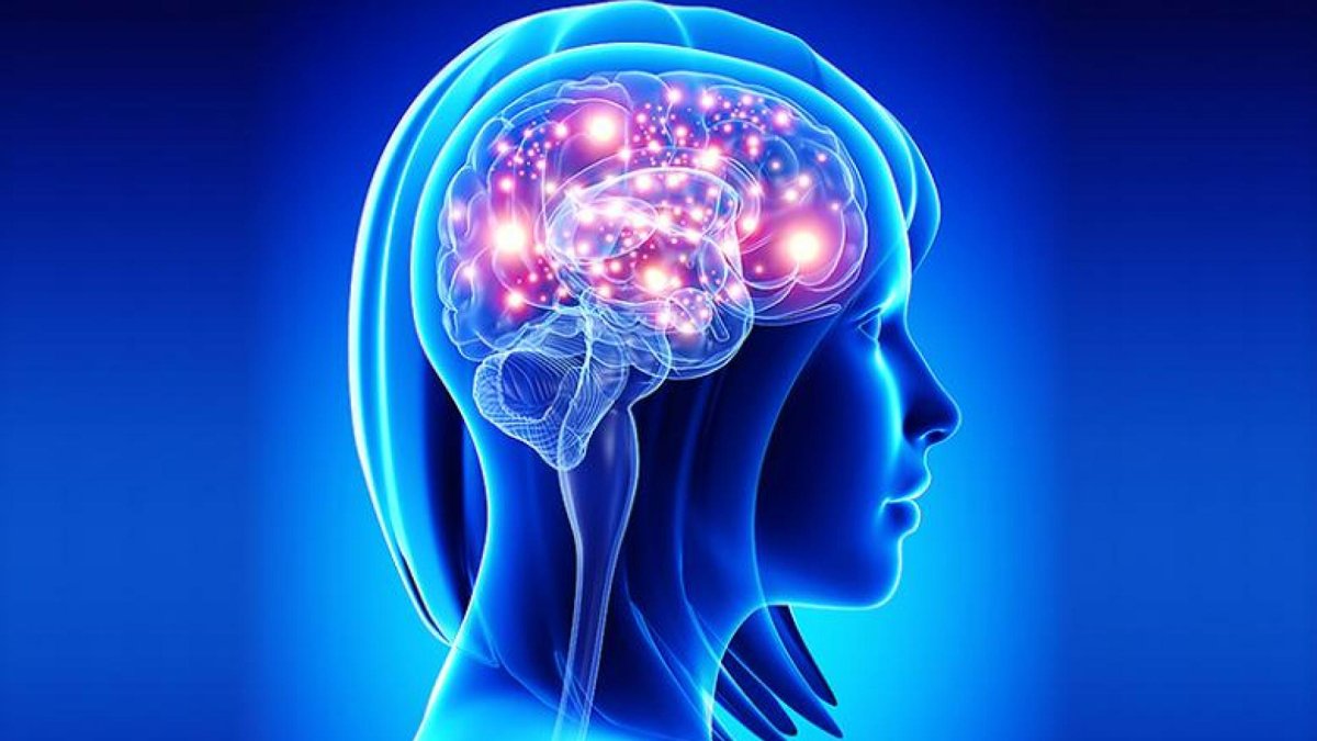 Beyond Memory: Understanding What Alzheimer’s Disease Cell Therapy Is Really Exploring